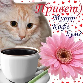 Sticker from пирожки