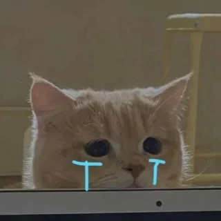 Sticker from люблю тебя❤