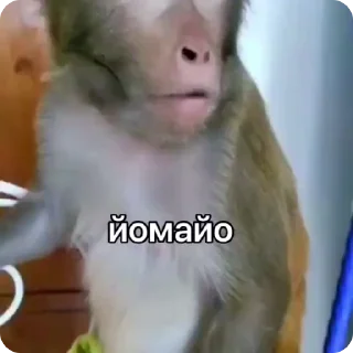 Sticker from Создано в @sozdsti_bot