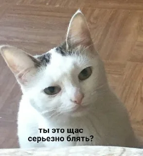 Sticker from Котя💘