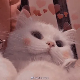 Sticker from Котя💘
