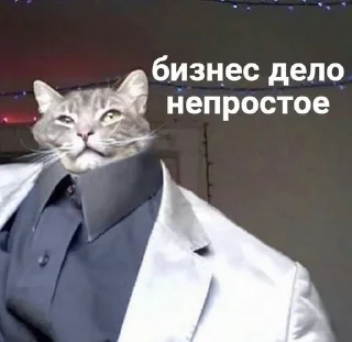 Sticker from Котя💘