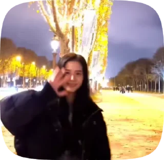 Sticker from Jisoo Paris @jsfep
