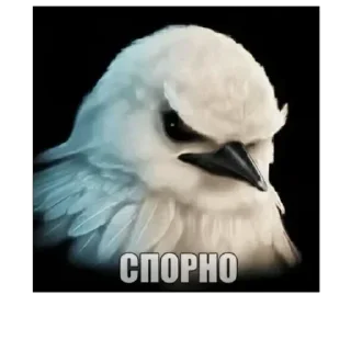 Sticker from вряд-ли