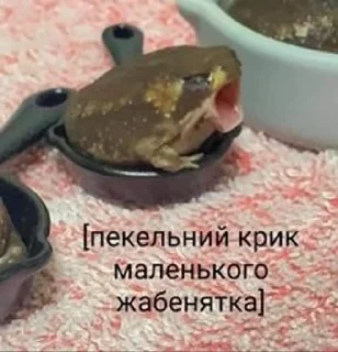 Sticker from на всі випадки життя