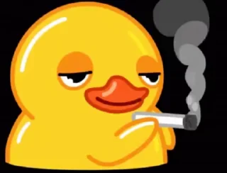 Sticker from no context me🧞‍♀️