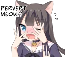 😳 emoji Tsundere Cat Girl Miyako Telegram sticker 12 of 40