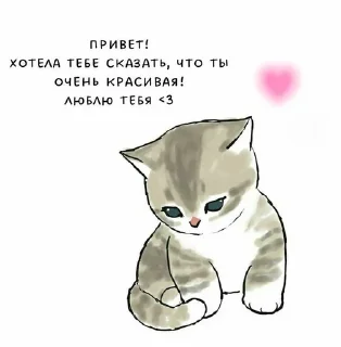 Sticker from МИДАШКrrrrr
