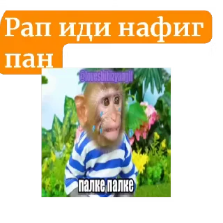 🖼 emoji Бибизьяны от @Az0rZ by @offstikbot Telegram sticker 17 of 17