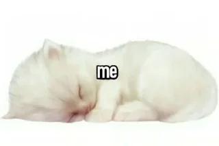 Sticker from lazy