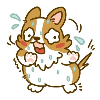 Sticker from animated corgi 🐶