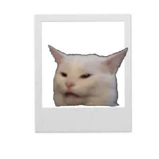 Sticker from Cameraman