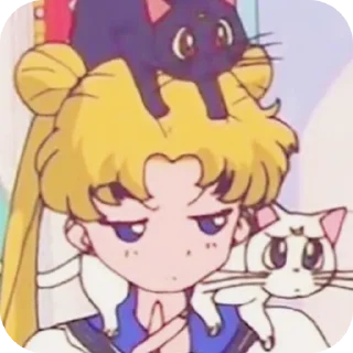 🖼 emoji Sailor_moon 🌙  🌙 Telegram sticker 20 of 33