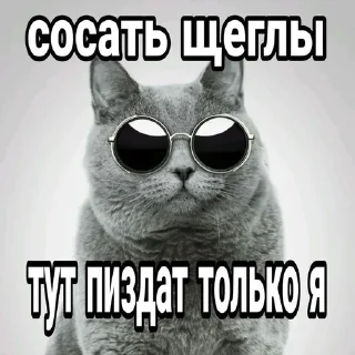 Sticker from динаху // @suzume1q