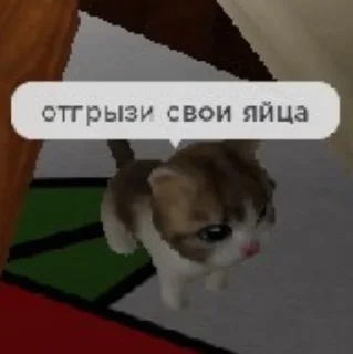 Sticker from динаху // @suzume1q