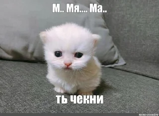 Sticker from динаху // @suzume1q