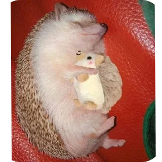 🧸 emoji hedgehog🤍🦔 Telegram sticker 7 of 44