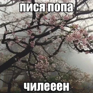 🤭 emoji состояние души Telegram sticker 19 of 42
