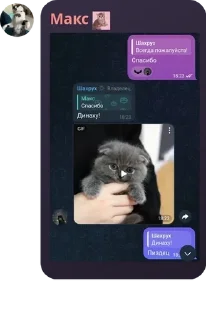 👭 emoji Корпорация Бандиты pack by @QuotLyBot Telegram sticker 20 of 120