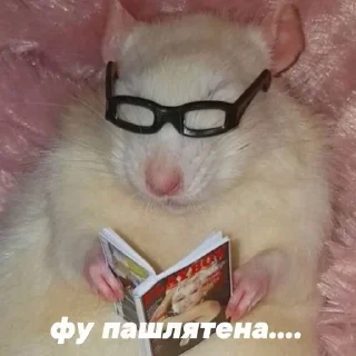 Sticker from Письки сучки блять