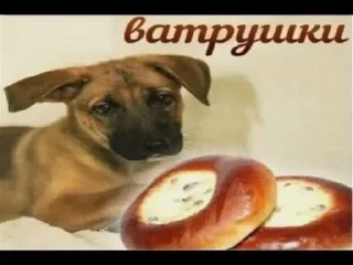 Sticker from ватрушки эпл вотч