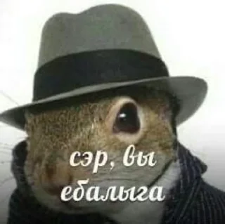 Sticker from Письки сучки блять