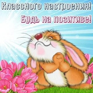 Sticker from позитив