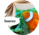 Sticker from Рыбы пытаются читать