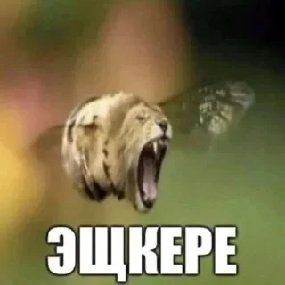 Sticker from Стекер пак на все случаи жизни