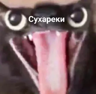 Sticker from Стекер пак на все случаи жизни