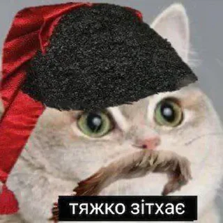 Sticker from Козацька ватага #1