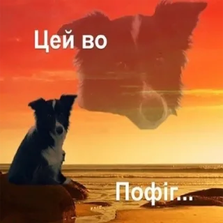 Sticker from Козацька ватага #1