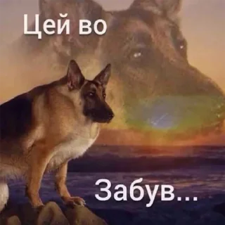 Sticker from Козацька ватага #1