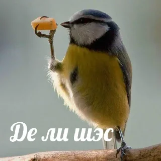 👌 emoji квіткове коло Telegram sticker 12 of 109