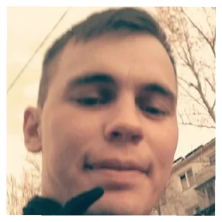 😄 emoji Лица свиндетт|Подарок от Detsad XAZARD Telegram sticker 1 of 60