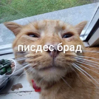 ❤️ emoji Стикеры @stickrubot @textmeru_bot Telegram sticker 10 of 12