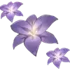😁 emoji ર𝒯𝒽𝑒 𝐻𝑒𝓇𝓉𝒶 ৎ  ࣪   ˖ 𝐻𝒮𝑅  ⬫ 𝓂𝑜𝓇𝑒 𝑒𝓂𝑜𝒿𝒾 𝒽𝑒𝓇𝑒 @sestle Telegram sticker 7 of 200