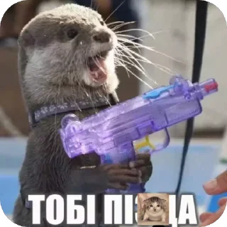 Sticker from Святые выдры