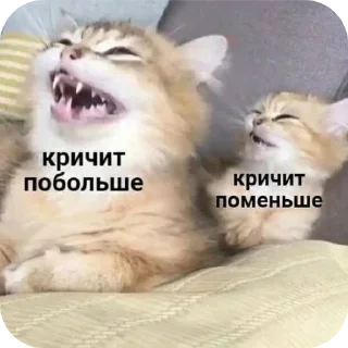 🐱 emoji Котята для котят Х3 by @kotiki2509 (медиум пак) Telegram sticker 3 of 35