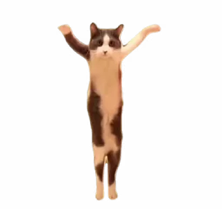 🕺 emoji Котята для котят Х3 by @kotiki2509 (медиум пак) Telegram sticker 12 of 35