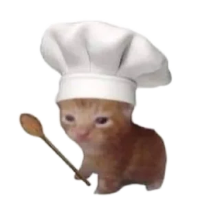 🐱 emoji Котята для котят Х3 by @kotiki2509 (медиум пак) Telegram sticker 16 of 35