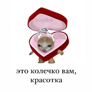 🌸 emoji пикчи 💗💗💗 Telegram sticker 19 of 63