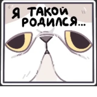 Sticker from Абобус йогур