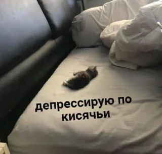 Sticker from кицики з любов'ю