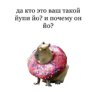 Sticker from капибарка