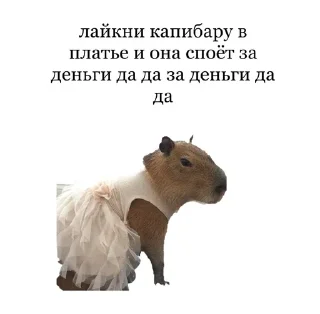 Sticker from капибарка