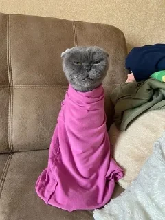 😴 emoji аня посейдон Telegram sticker 18 of 106