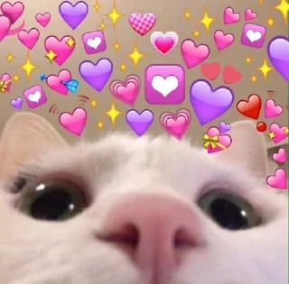❤️ emoji Хз Telegram sticker 11 of 55