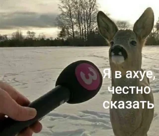 Sticker from ruslenskiy’s world