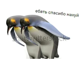 Sticker from ruslenskiy’s world
